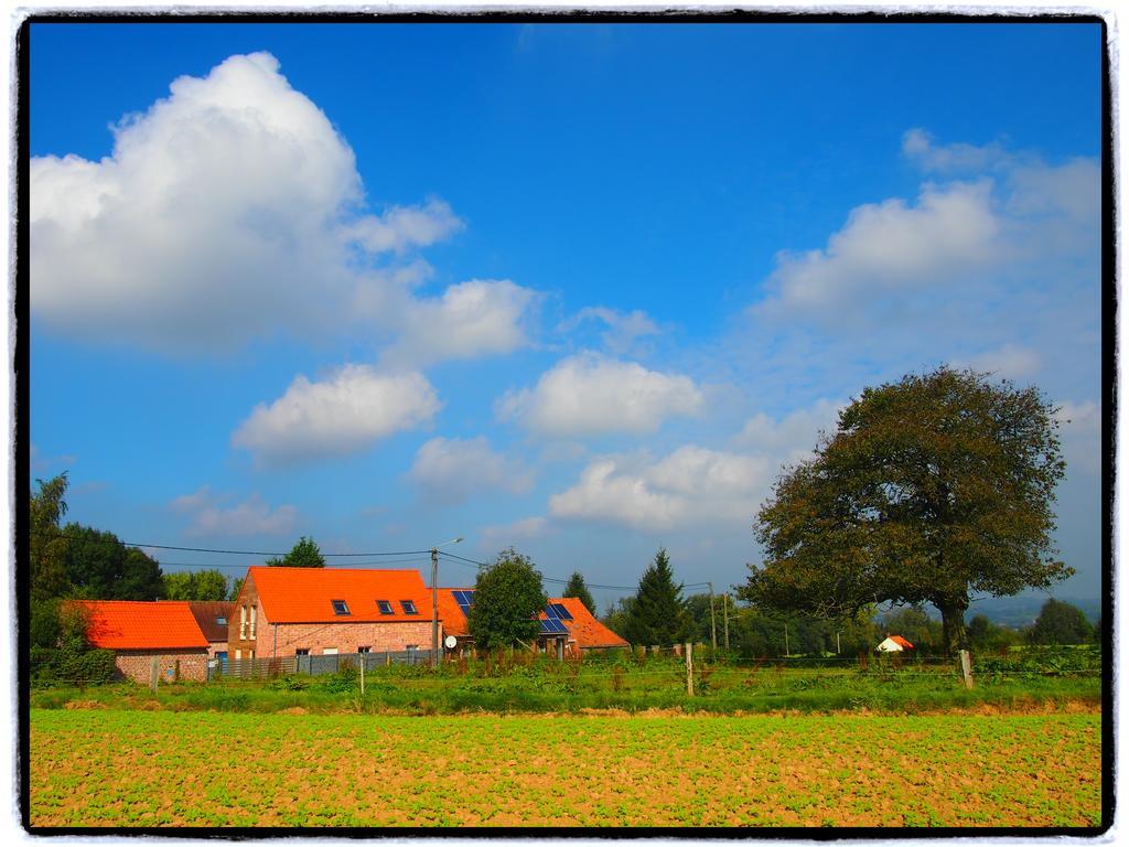 Archipel Holiday Cottage Ellezelles Zimmer foto